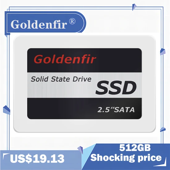 Goldenfir 2.5′′ SSD 360 Go Disque SSD interne 240 Go